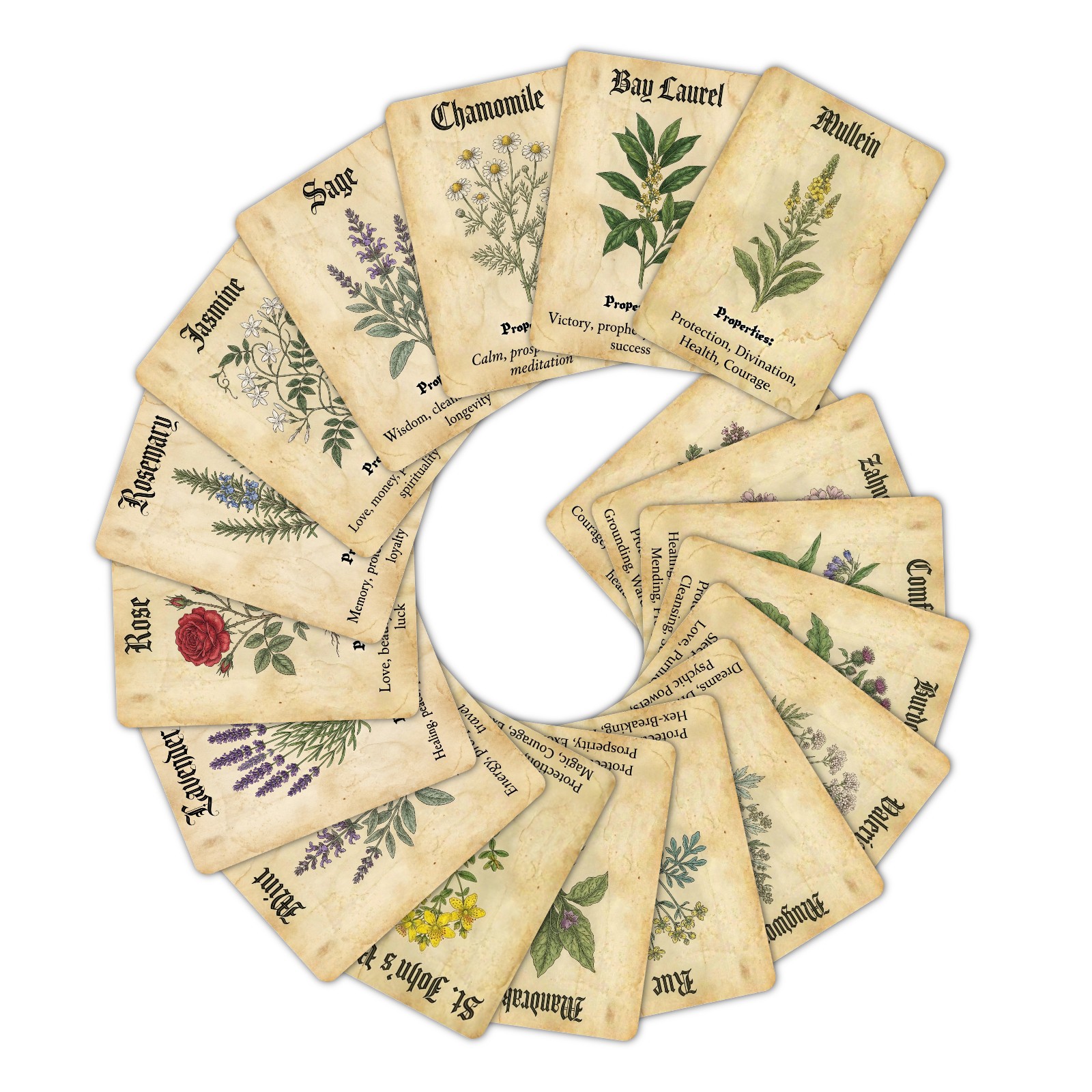 การ์ดตกแต่งธีมพืชมหัศจรรย์สไตล - Vintage Collectible Cards บทวิจารณ์และราคา